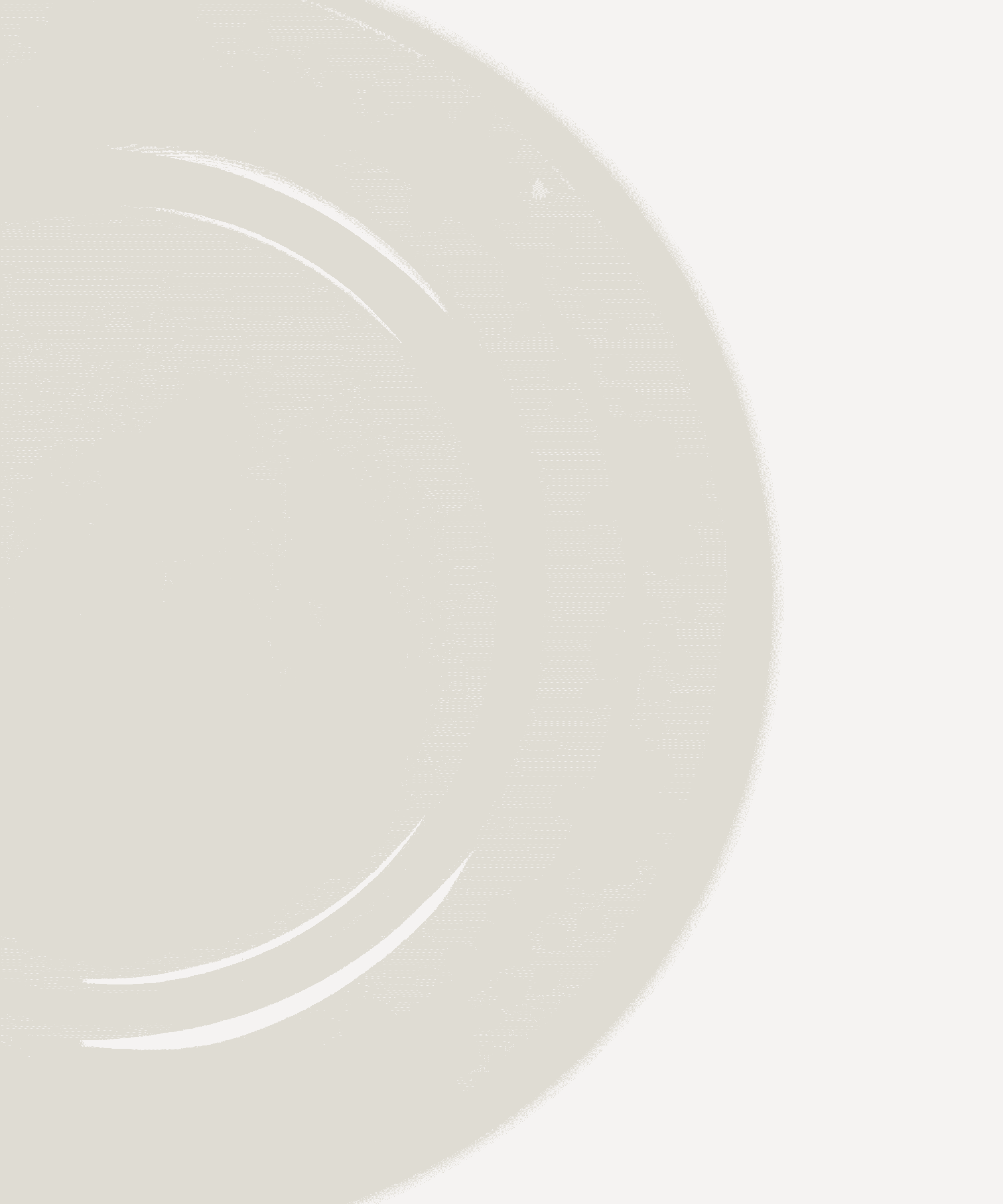 Sina Hand-Painted Dinner Plate - Set of 4