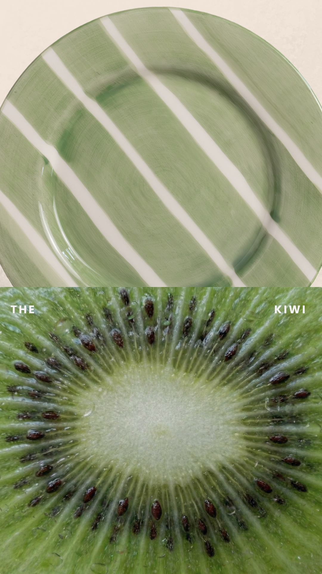 Kiwi Salad Plate - Set of 4