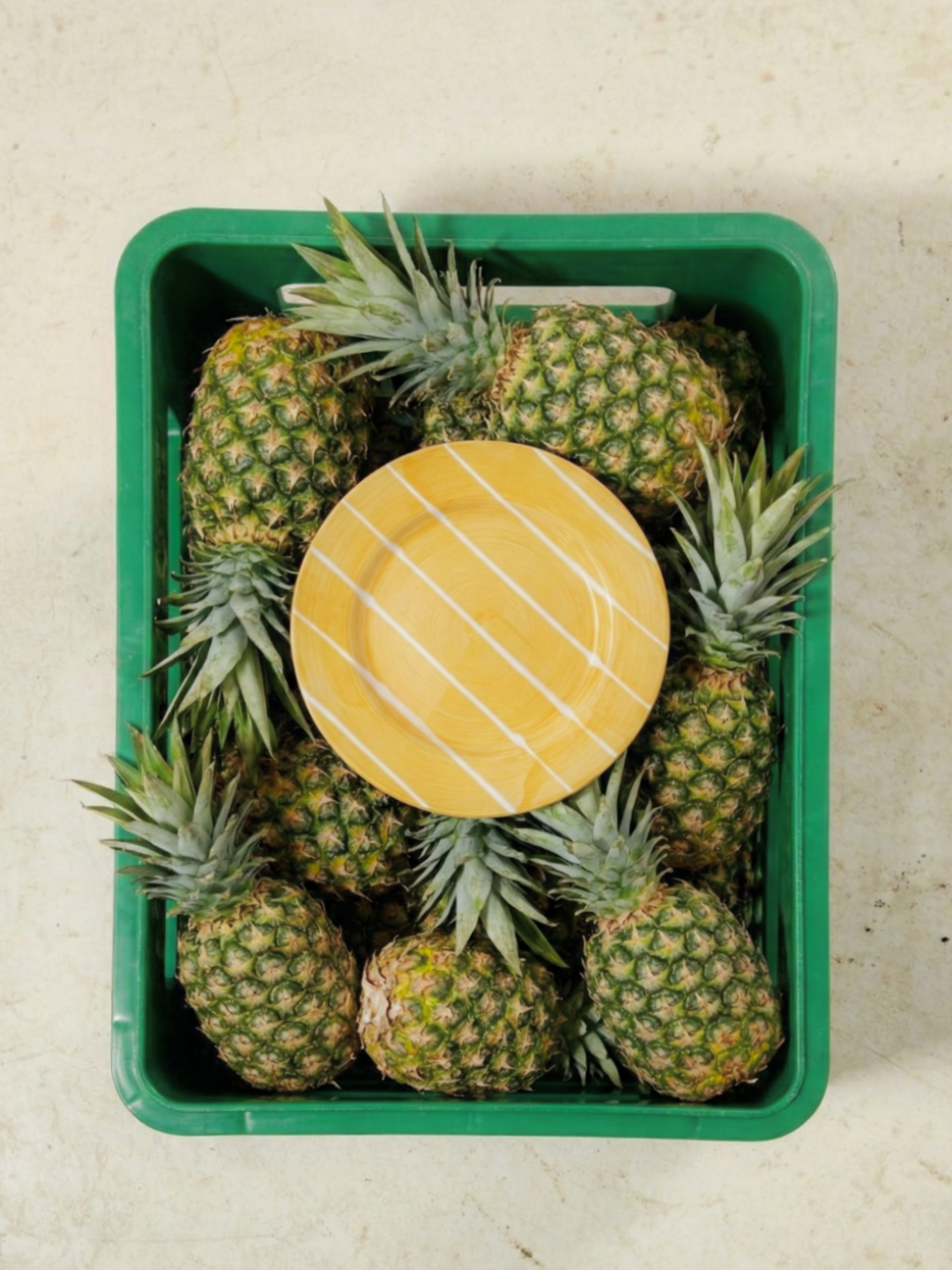 Pineapple Dinner Plate - Set of 4