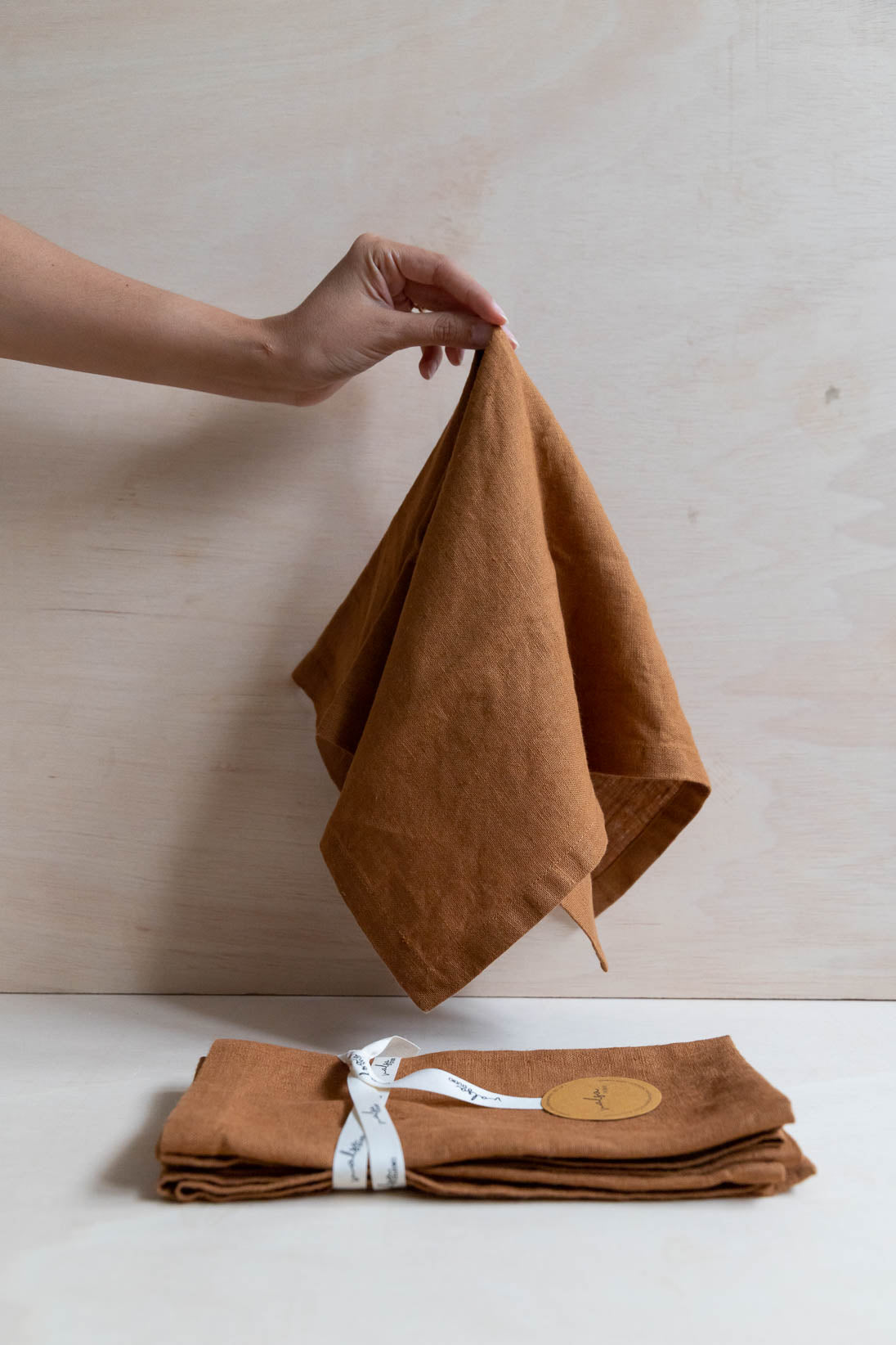 Terracotta Linen Napkin - Set of 2